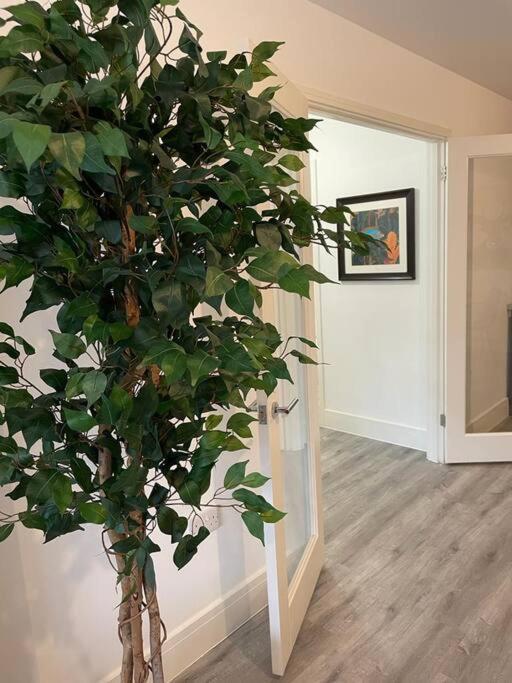 Stunning And Spacious 2Bed Flat In Central Уокинг Экстерьер фото